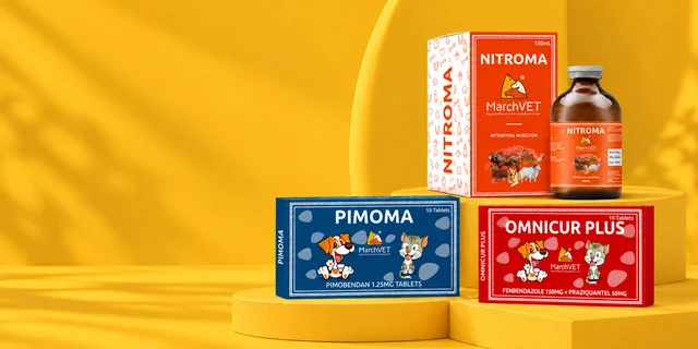 Shop Banner