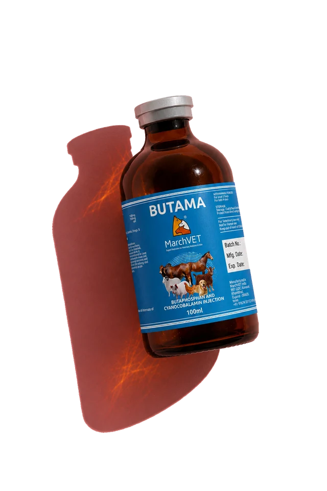 Butaphosphan 10% + Vit B12 hover