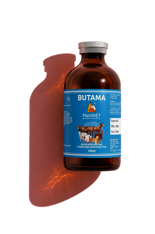 Butaphosphan 10% + Vit B12