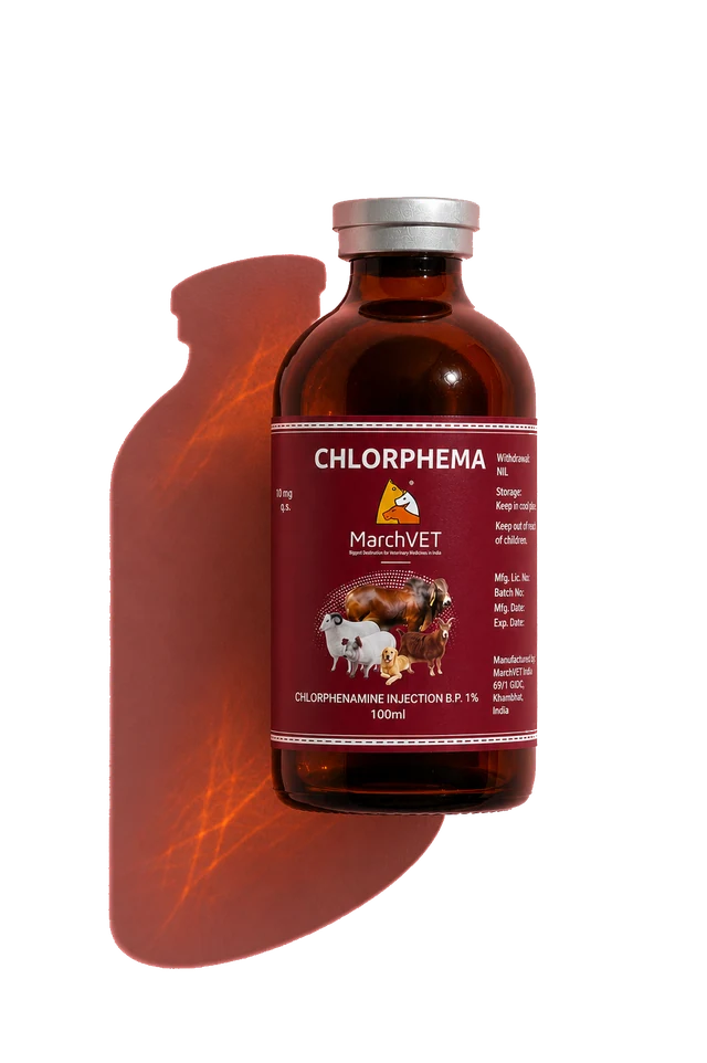 Chlorpheniramine Maleate 1%