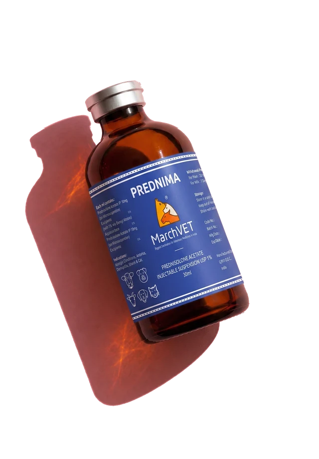 Prednisolone 1% hover