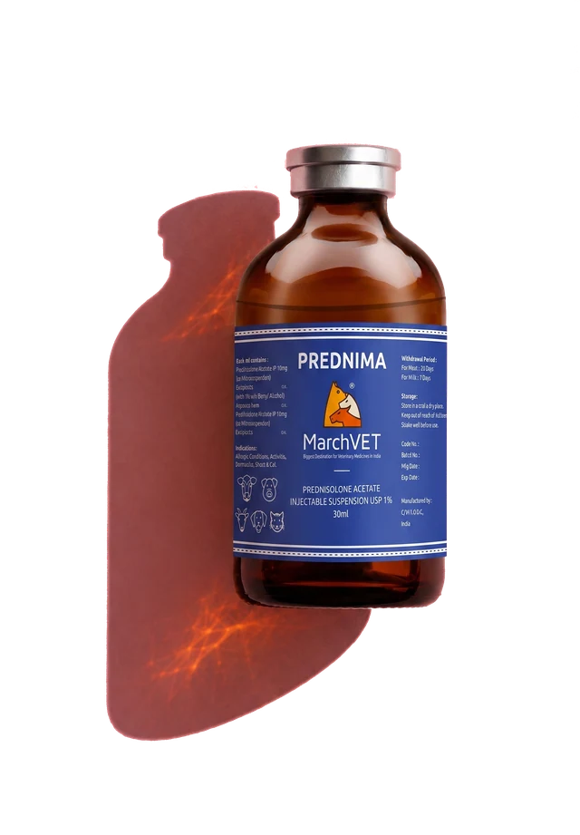 Prednisolone 1%