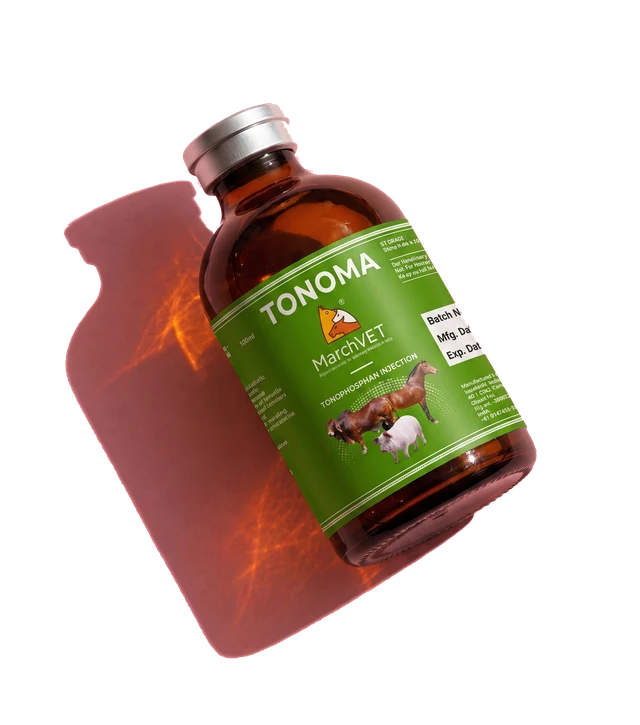 Tonophosphan+ Vit B12 hover
