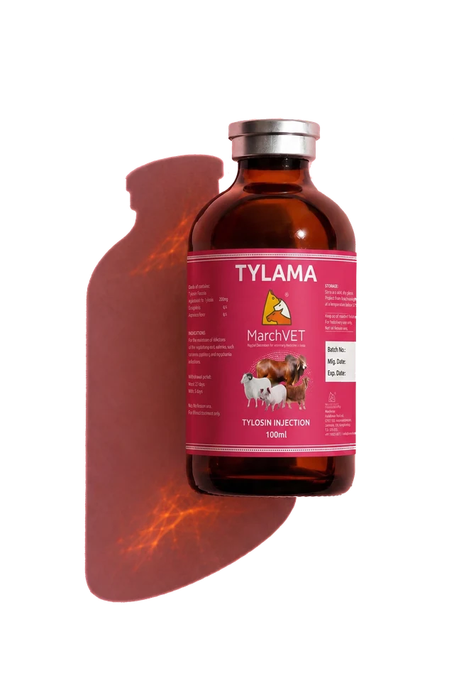 Tylosin 10%