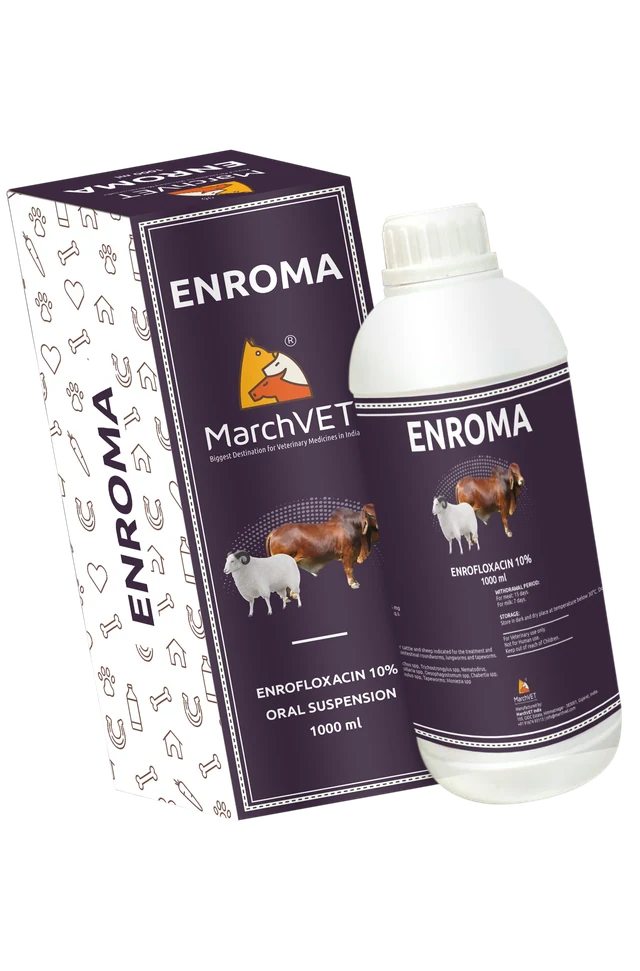 Enrofloxacin 100mg hover