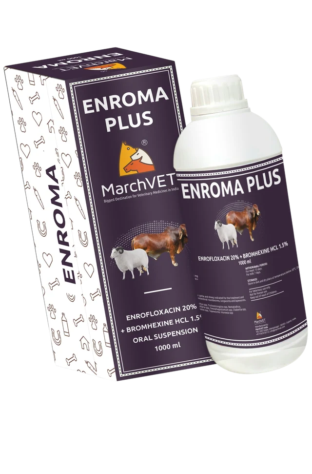 Enrofloxacin 200mg + Bromhexine Hcl 15mg hover