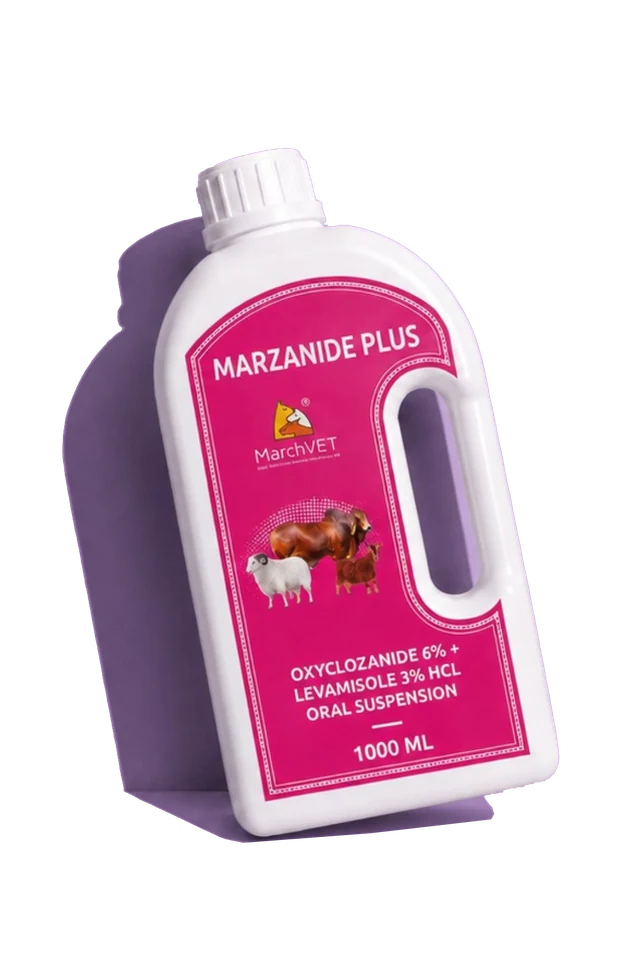 Oxyclozanide 30mg + Levamisole Hcl 15mg Oxyclozanide 60mg + Levamisole Hcl 30mg hover