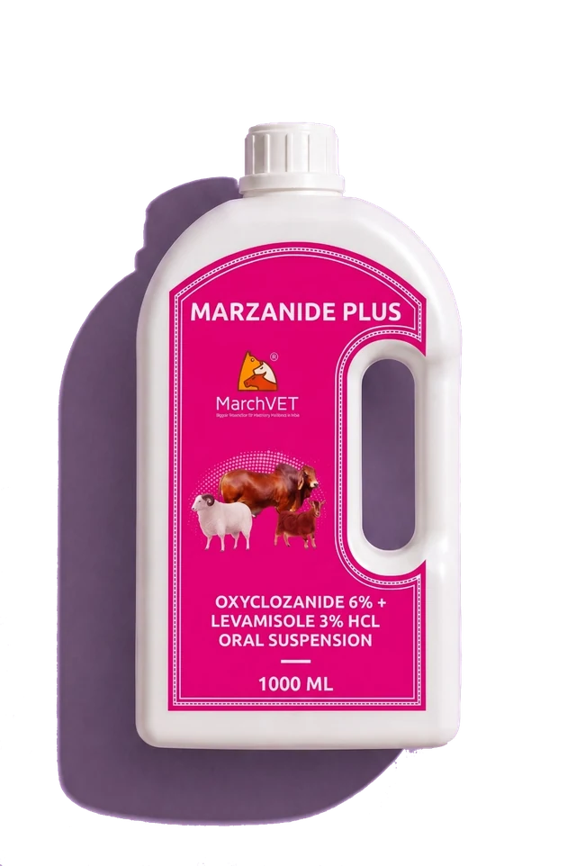 Oxyclozanide 30mg + Levamisole Hcl 15mg Oxyclozanide 60mg + Levamisole Hcl 30mg