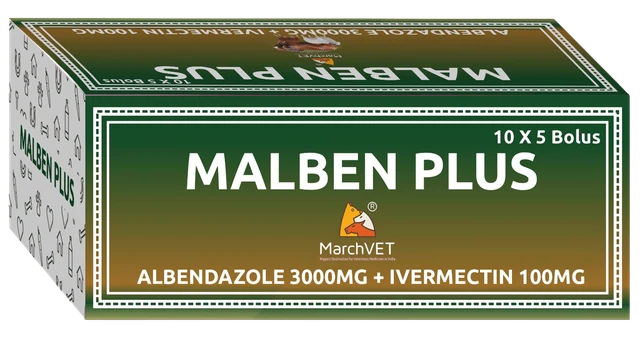 Albendazole + Ivermectin