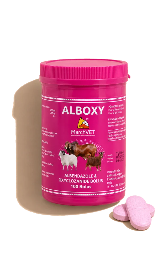 Albendazole + Oxyclozanide