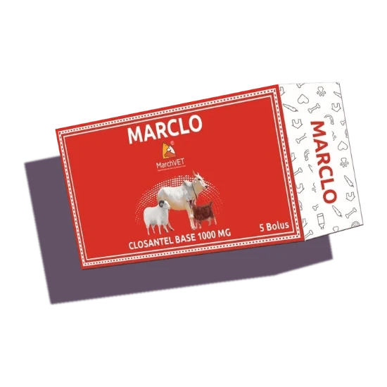 MARCLO (CLOSANTEL BASE) hover