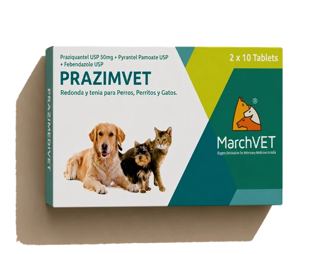 Fenbendazole + Praziquantel + Pyrantel Pamoate