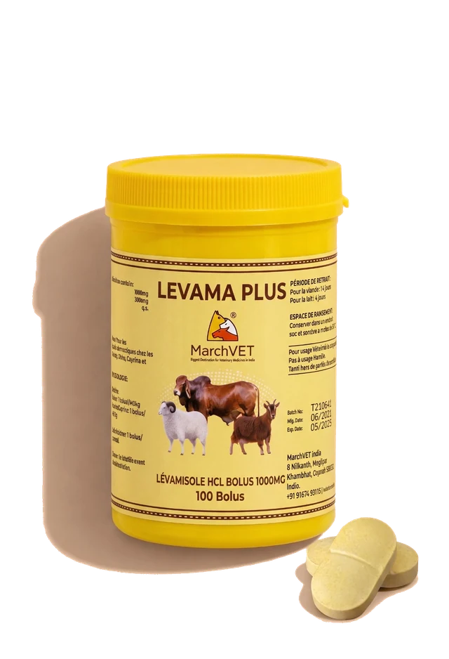 Levamisole Hcl