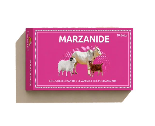Oxyclozanide + Levamisole Hcl