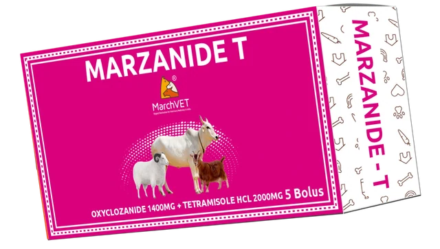 Oxyclozanide + Tetramisole Hcl hover