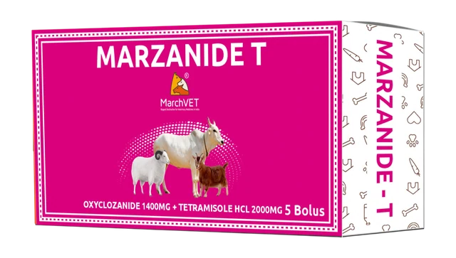 Oxyclozanide + Tetramisole Hcl