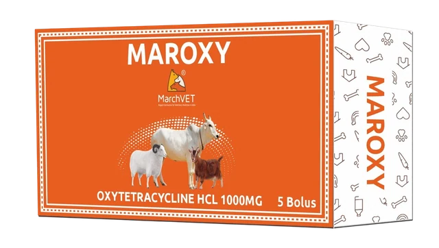 Oxytetracycline Hcl