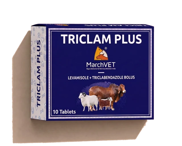 Triclabendazole + Levamisole Hcl