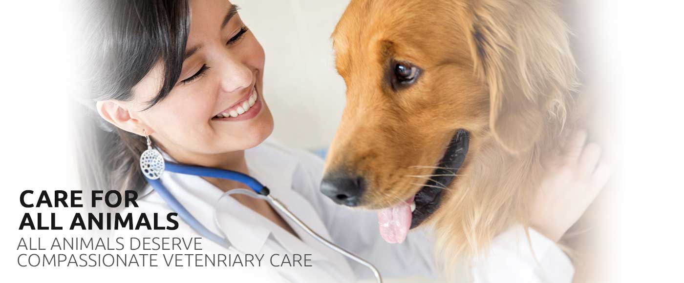 Veterinary Medicine Manufacturing Company